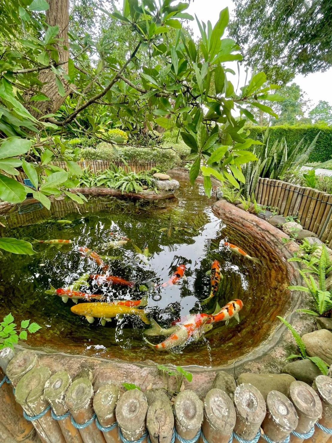 River Valley Resort แอทน่าน Eksteriør bilde